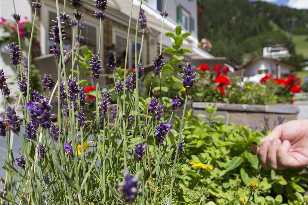 Chalet Madrisa Corvara In Badia Eksteriør billede
